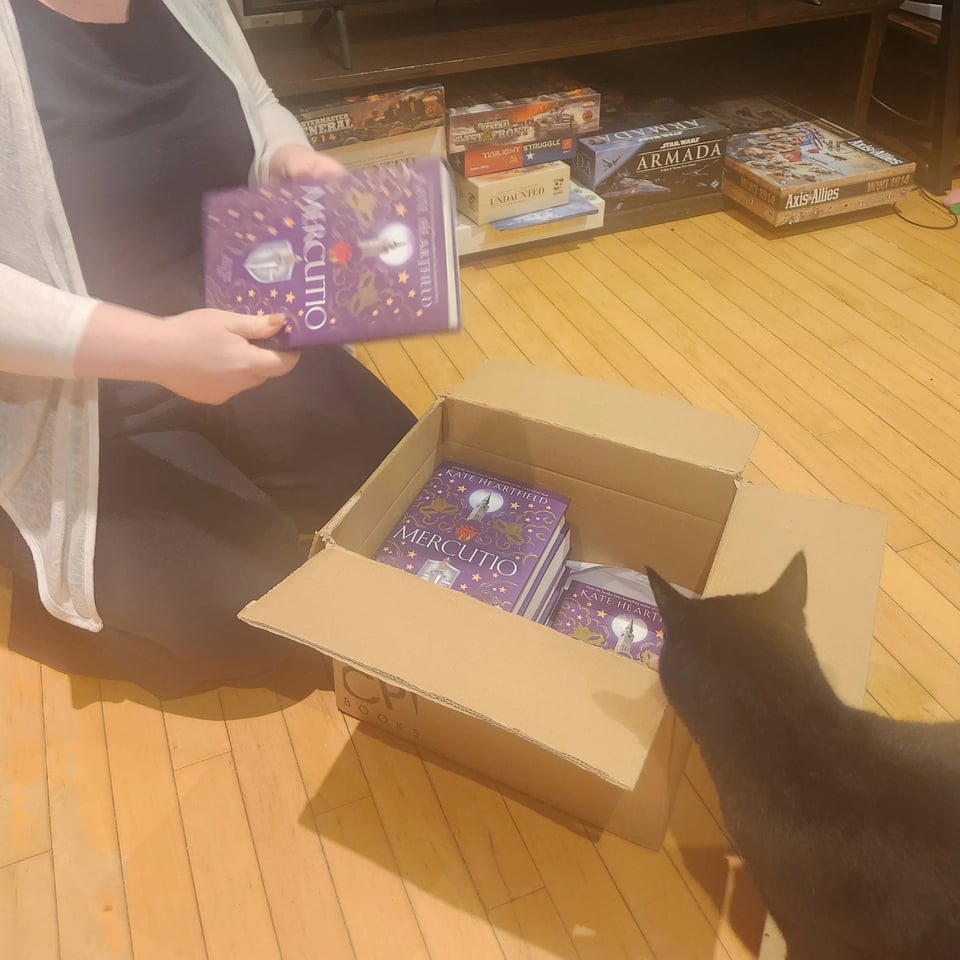 A black cat investigates a box of purple books.