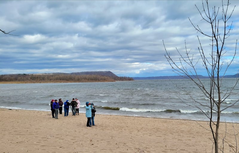Bird lovers braved gusty winds for an exhilarating March bird walk with FSPA leaders along the Sand Point Trail and its stunning beach (made dramatically wide by this spring of drought that has lowered the river level). Among the morning’s highlights: a Brown Creeper, Killdeer, Common Goldeneyes and Green-Winged Teal, as well as sightings of many native mussels along the shoreline. / Photo by Pamela Miller