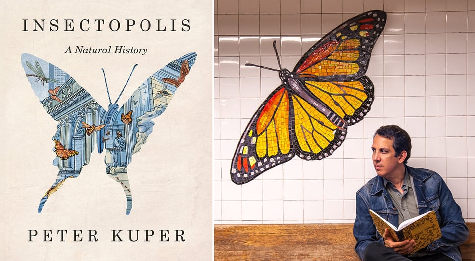 two images: left, the cover of Peter Kuper's graphic novel: INSECTOPOLIS: A Natural History; right a photo of Peter in a subway station beside a large mosaic of a monarch butterfly