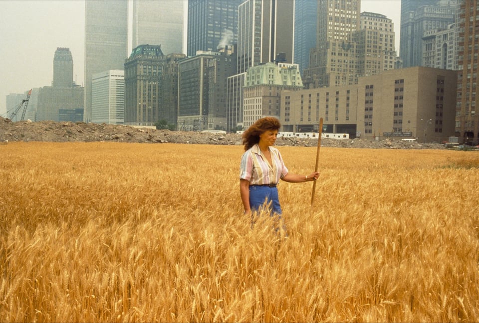 Wheatfields of Gentrification