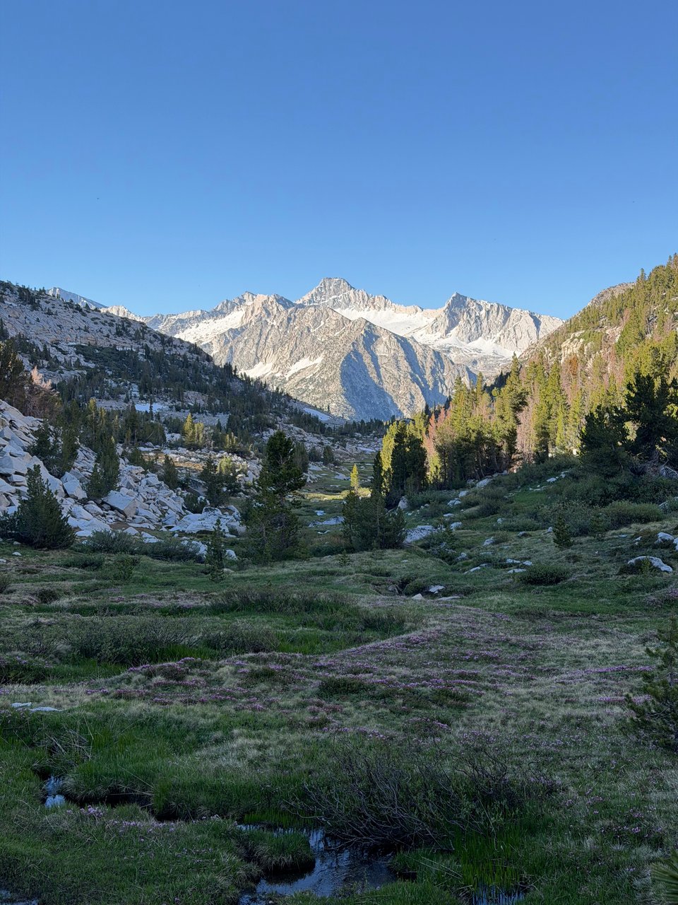 PCT - Things go wrong