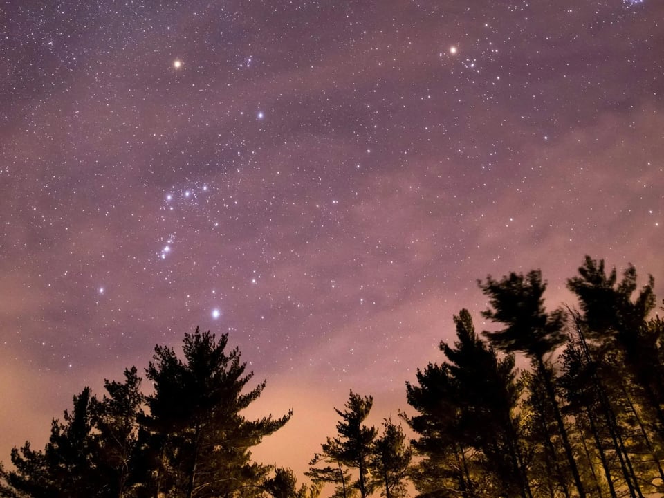 a starry night sky with trees in the foreground