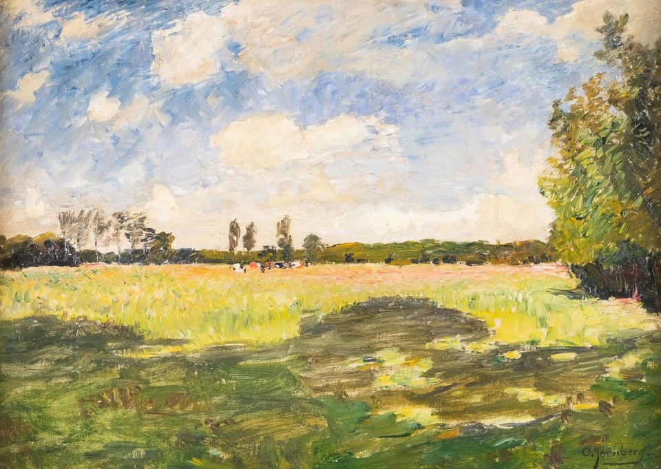 A green field on a summer day. The sky is blue but cloudy.