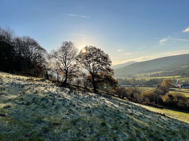 A frosty hillside with trees in the distance