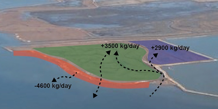 Simple graphic on top of an image of a marsh, indicating volumes of sediment in/out of marsh components in kg/day.