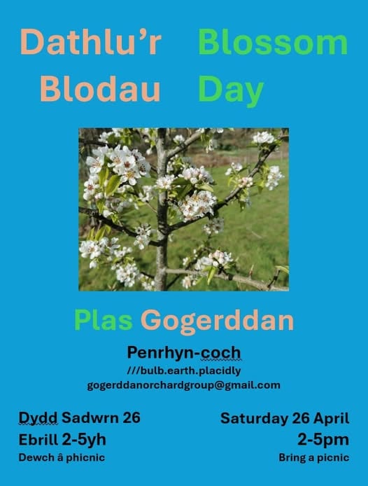 Newyddion Natur Ceredigion News 06/05/2025