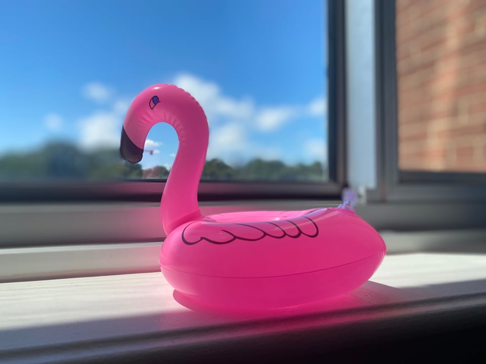 A small inflatable pink flamingo drink holder, set on a windowsill, with trees and blue sky in the background