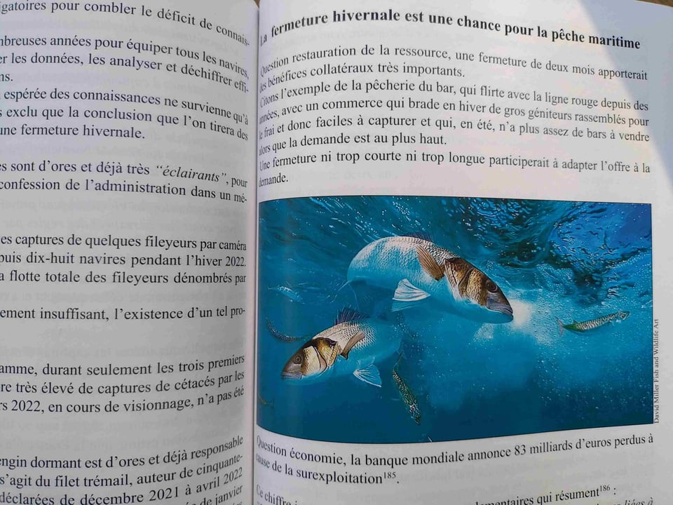 Extrait de l'ouvrage Golden Miles (pages 573-574) expliquant pourquoi la pêche décline et proposant une autre gestion écosystémique qui respecte les fonctions biologiques.