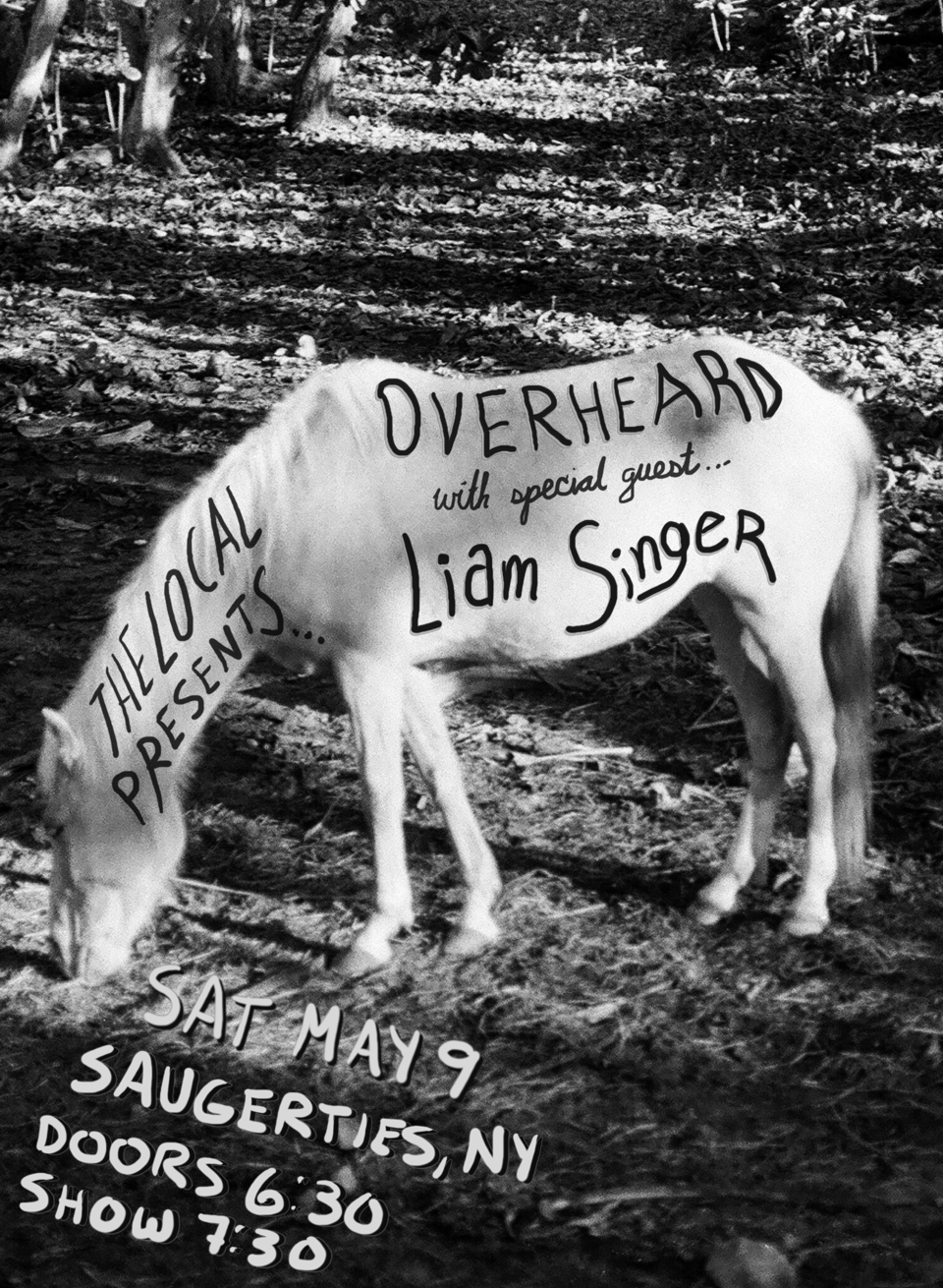 a flyer for an upcoming Overheard show at The Local in Saugerties on Saturday May 9th at 7:30 PM. The information is painted on a horse, and Liam Singer is opening for us!