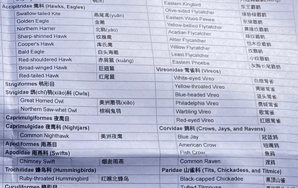 a photo of part of a spreadsheet featuring various bird families and species with names in English and Mandarin