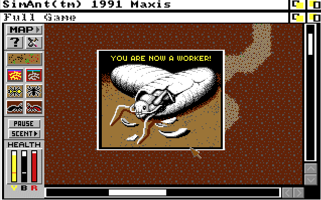 Screenshot from SimAnt