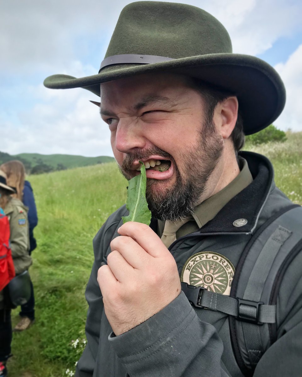 Dr Professor, trying some plants