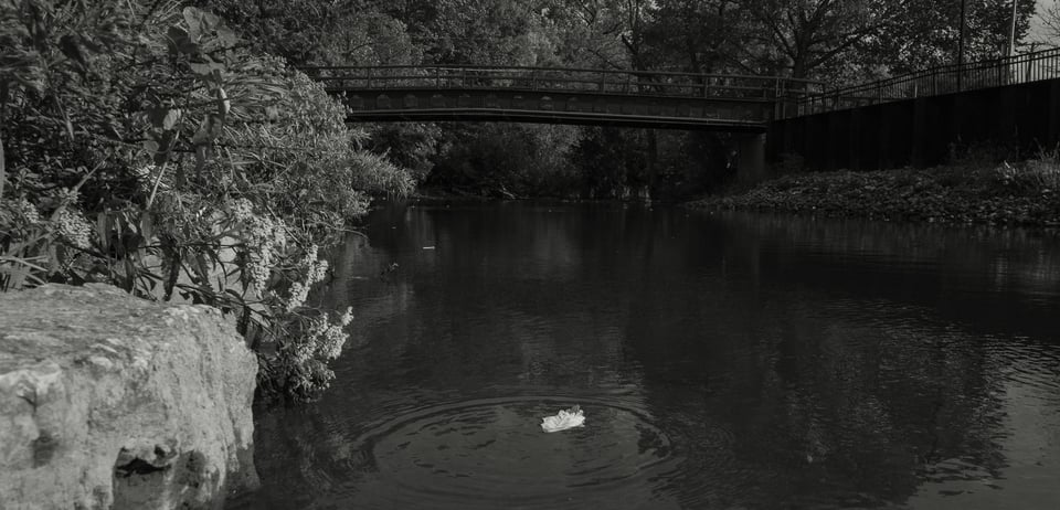 A monochrome landscape of a bridge over a river with a solitary leaf floating downstream