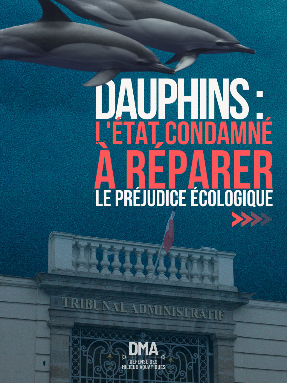 Newsletter de DÉFENSE DES MILIEUX AQUATIQUES Août 2026