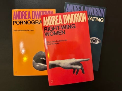 Three book: Andrea Dworkin's