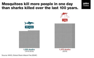 Mosquitoes kill more people in one day than sharks killed over the last 100 years