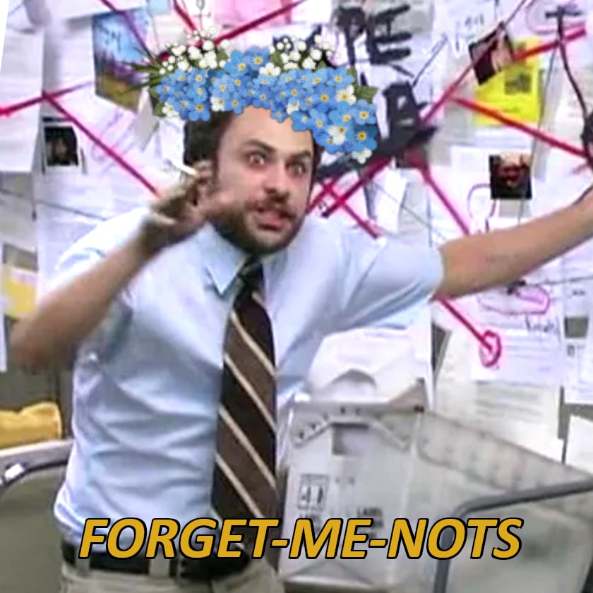 The "there is no Carol in HR" meme from It's Always Sunny in Philadelphia, except Whitney has photoshopped a flower crown of forget-me-nots onto Charlie Day's head.