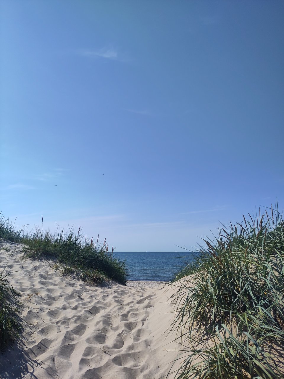 Dünenübergang zu einem Sandstrand. Im Hintergrund das Meer.