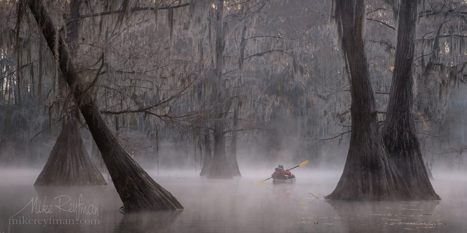 Bold Cypress and Tupelo Trees in the swamps of Atchafalaya River Basin. Taken by Mike Freeman