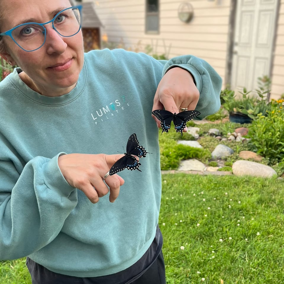 releasing two black swallowtail butterflies