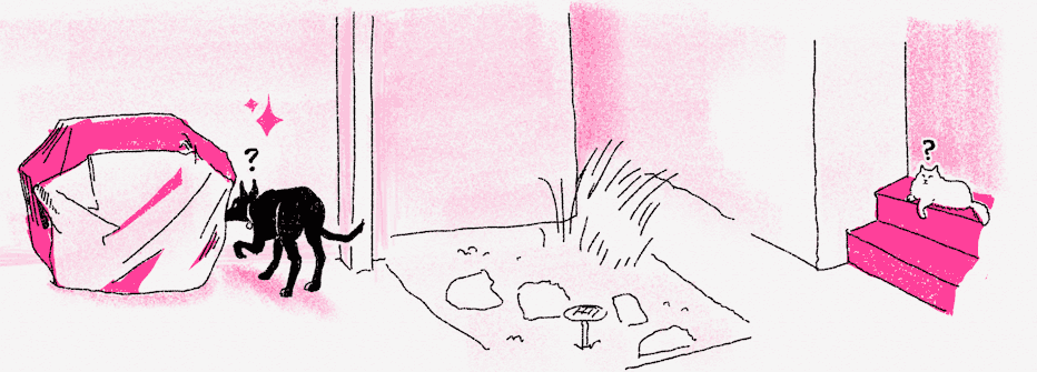 An illustration of Riley looking behind a covered barbecue grill, while a white cat looks on from nearby steps. Both have question marks over their heads.