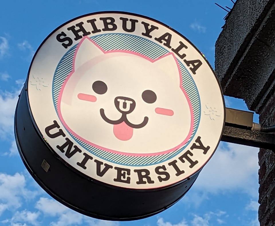 A cute sign with a cartoon shiba inu plus it says Shibuyala University