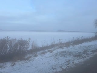 foggy view of the winter lakeshore, with weeds in the foreground and cloudy blue sky in the distance