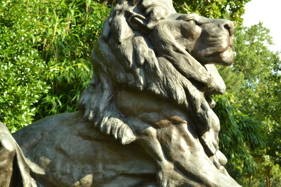Lions and Robots, Oh My