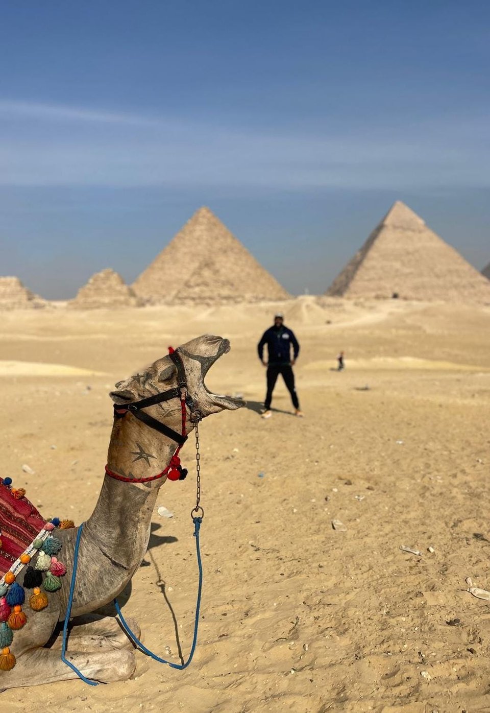 Nate standing in front of the Great Pyramids of Giza with a camel in the foreground