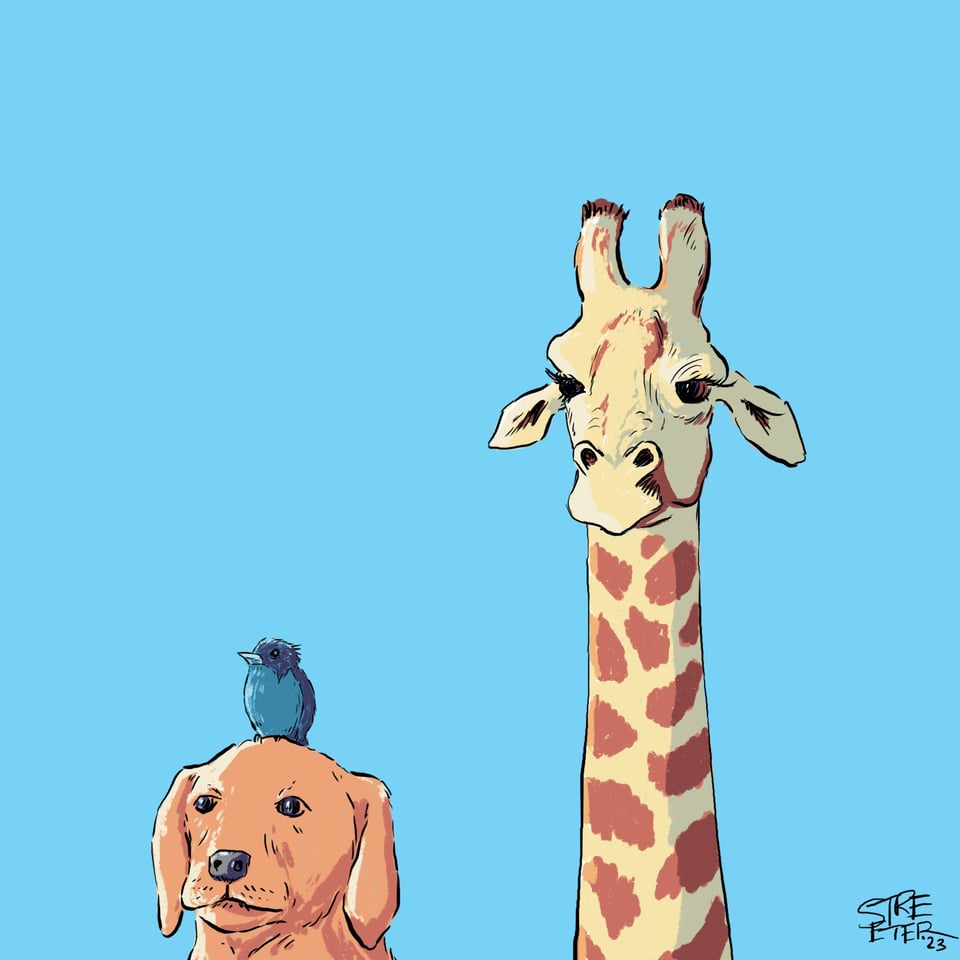 Illustration of a giraffe and dog with a bird on the dog's head all looking in the same direction