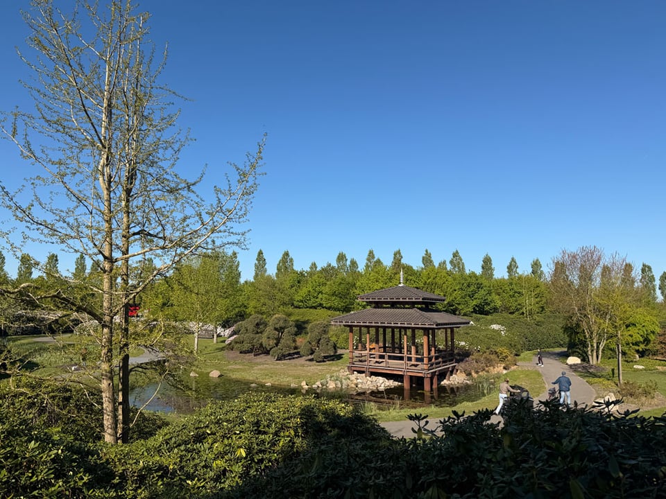 A Japanese pagoda sits in the middle of the Japanese Garden in MaximaPark in Utrecht. People walk along the asphalt path below.