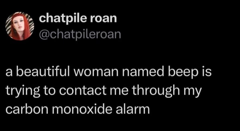 Twitter screenshot. @chatpileroan
a beautiful woman named beep is trying to contact me through my carbon monoxide alarm