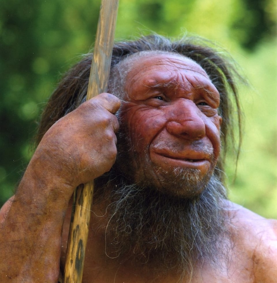 A reconstruction of a Neanderthal holding a spear