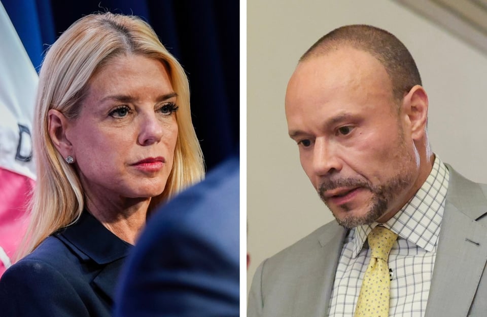 Bondi-Bongino
