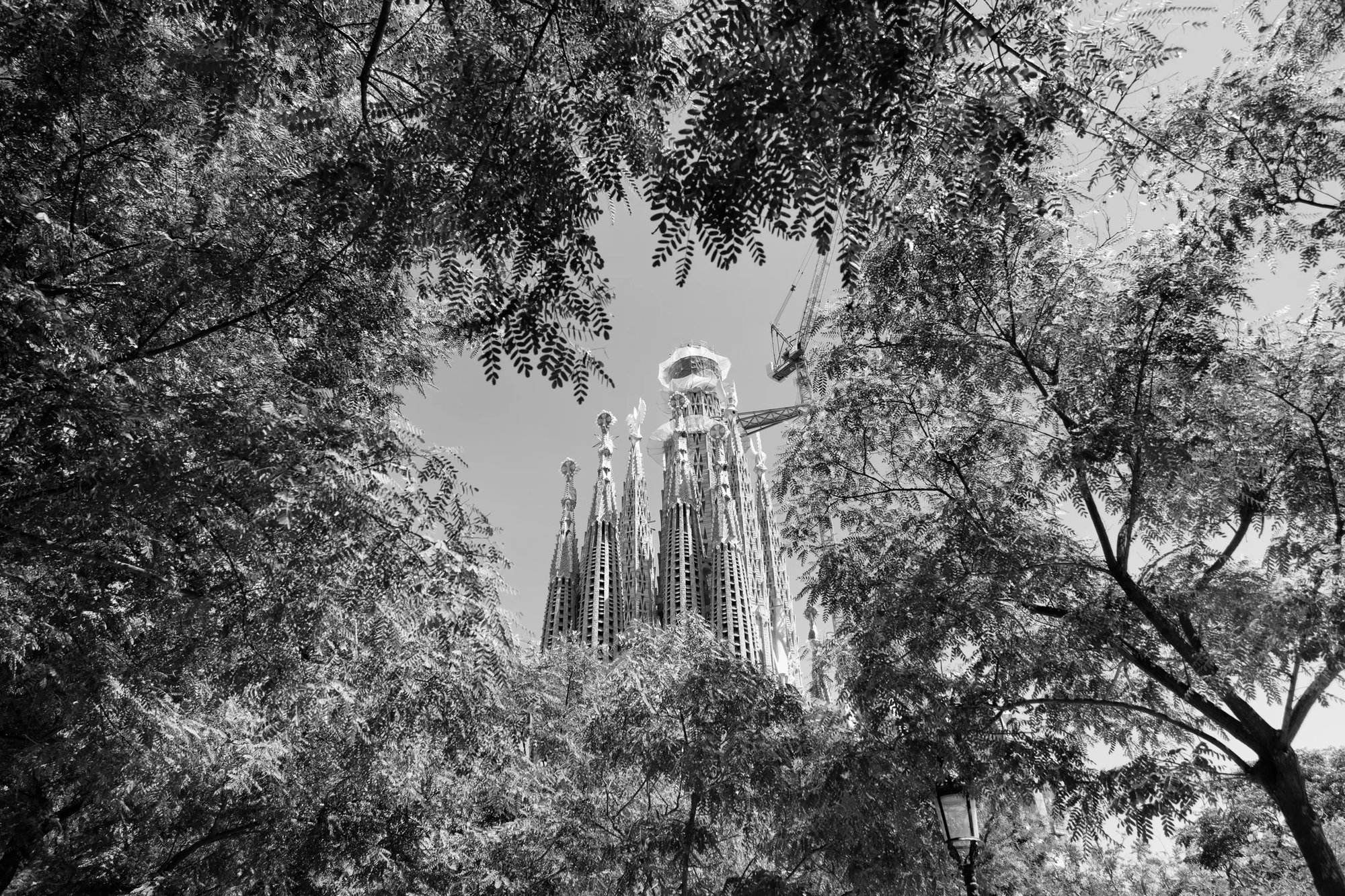 Last Week's New Yorker Review: September 22