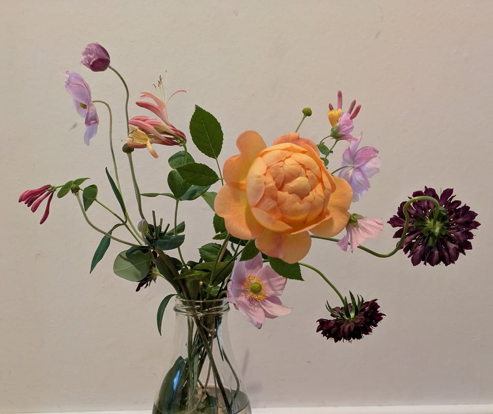 A posy of late blooms from my friend Dulcie’s garden.