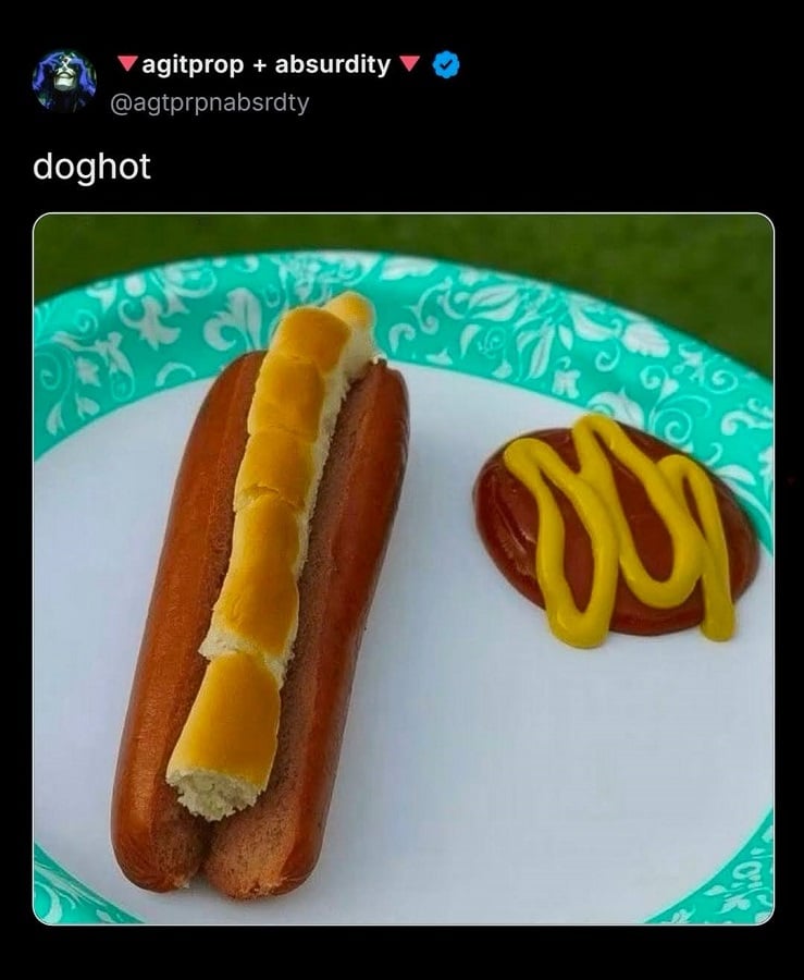 Twitter screenshot. @agtprbnabsrdty: doghot.
Below is a photo of a hotdog frankfurt, split down the middle, with a length of hot dog bun laid inside it. Ketchup and mustard are on the plate to one side.