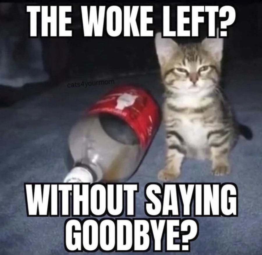 Photo of a bleary-eyed and sleepy looking kitten next to an empty bottle of Coke. Overlaid text reads: The woke left? Without saying goodbye?