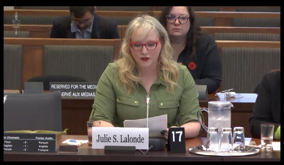 Julie S. Lalonde, témoignant devant le Parlement en 2024 sur le besoin urgent de moderniser la loi canadienne sur le harcèlement.