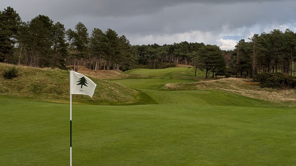 Formby 7th looking back from the green, snaking, narrow, rippling fairway, tee box tucked behind pines