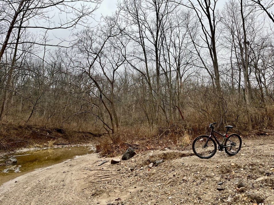 A shallow sandy creekbed with green water with my bike parked at the end of a forested trail