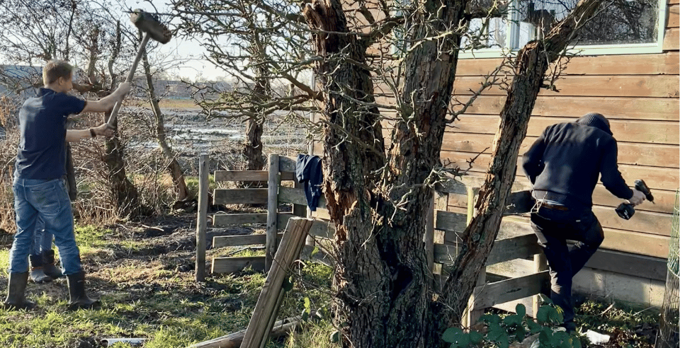 Meewerkdag op onze plek