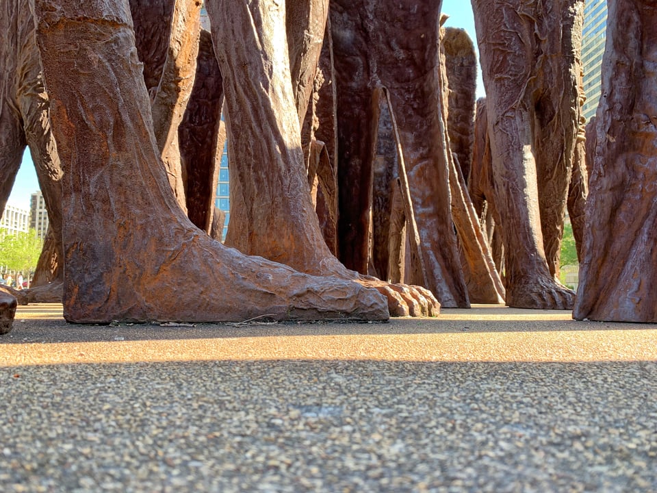 Image of the agora sculpture in Chicago, featuring dozens of feet. They are brown and the sunlight is casting many shadows.