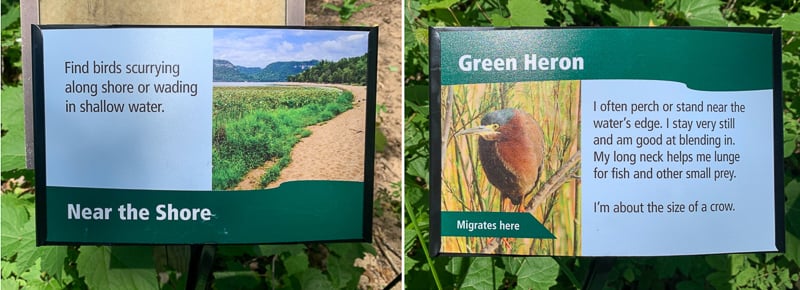New bird signage along the Sand Point Trail. /Photos by Janet Malotky