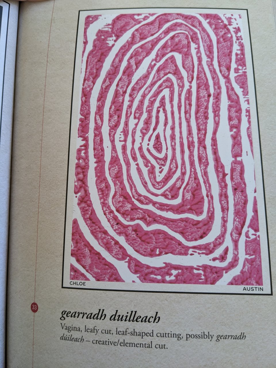 A page from Women's Words. The Irish word is gearradh duilleach, which means: Vagina, leafy cut, leaf-shaped cutting. The illustration looks like a slice of red cabbage.