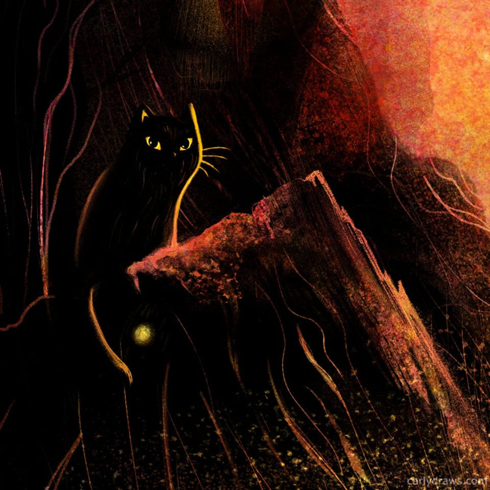 An illustration of a black cat sitting in the woods