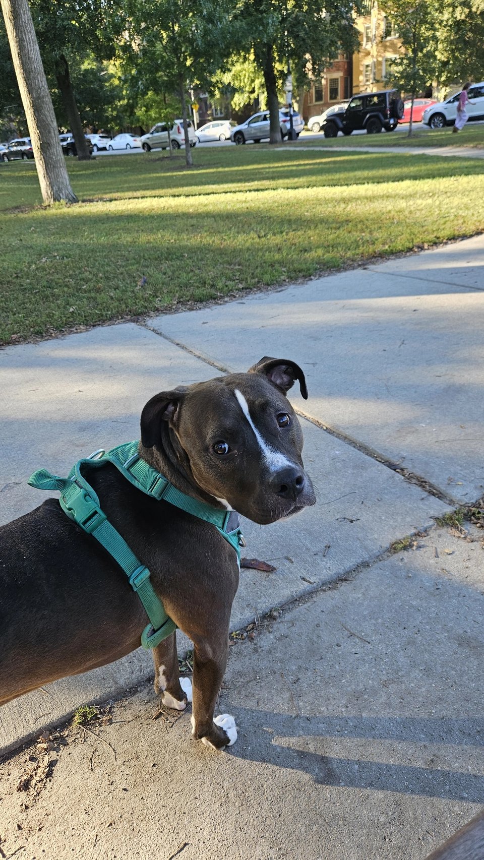 Photo of Ruthie who was waiting at the park for her mother to arrive with some raspberry Itaian ice for her.