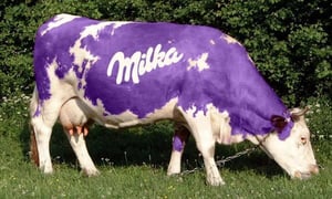 milka cow