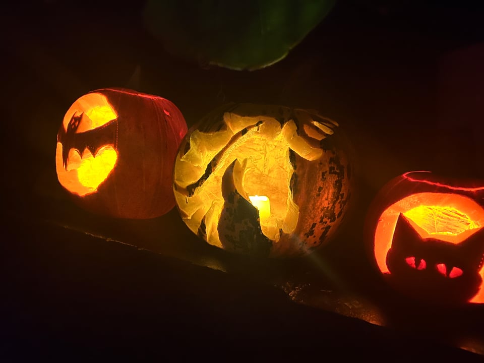 Three lit Jack-o-lanterns - a bat, a unicorn, and a cat
