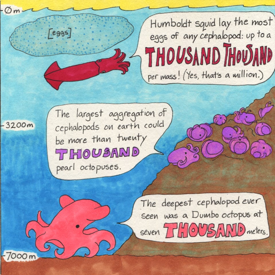 Octabost The OctoPost: Happy World Octopus Day! • Buttondown